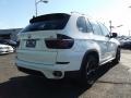 Alpine White - X5 xDrive35d Photo No. 3