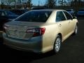 Sandy Beach Metallic - Camry LE Photo No. 3