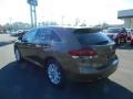 Golden Umber Metallic - Venza XLE Photo No. 5