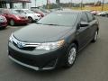 Magnetic Gray Metallic - Camry Hybrid LE Photo No. 7