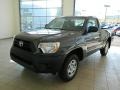 Magnetic Gray Metallic - Tacoma Regular Cab Photo No. 6