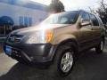 2003 Mojave Mist Metallic Honda CR-V EX 4WD  photo #7