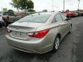 Camel Pearl - Sonata GLS Photo No. 3