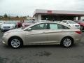 Camel Pearl - Sonata GLS Photo No. 6