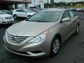 Camel Pearl - Sonata GLS Photo No. 7