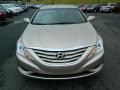 Camel Pearl - Sonata GLS Photo No. 8