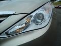 Camel Pearl - Sonata GLS Photo No. 9
