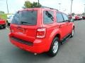 2009 Torch Red Ford Escape XLT V6  photo #3