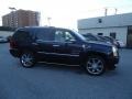 Blue Chip - Escalade AWD Photo No. 5