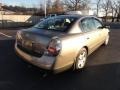 Polished Pewter Metallic - Altima 2.5 SL Photo No. 4