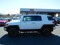 2010 Iceberg White Toyota FJ Cruiser 4WD  photo #6