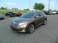 2012 Golden Umber Mica Toyota Venza LE  photo #7