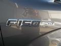 2013 Sterling Gray Metallic Ford F150 XLT SuperCrew  photo #12