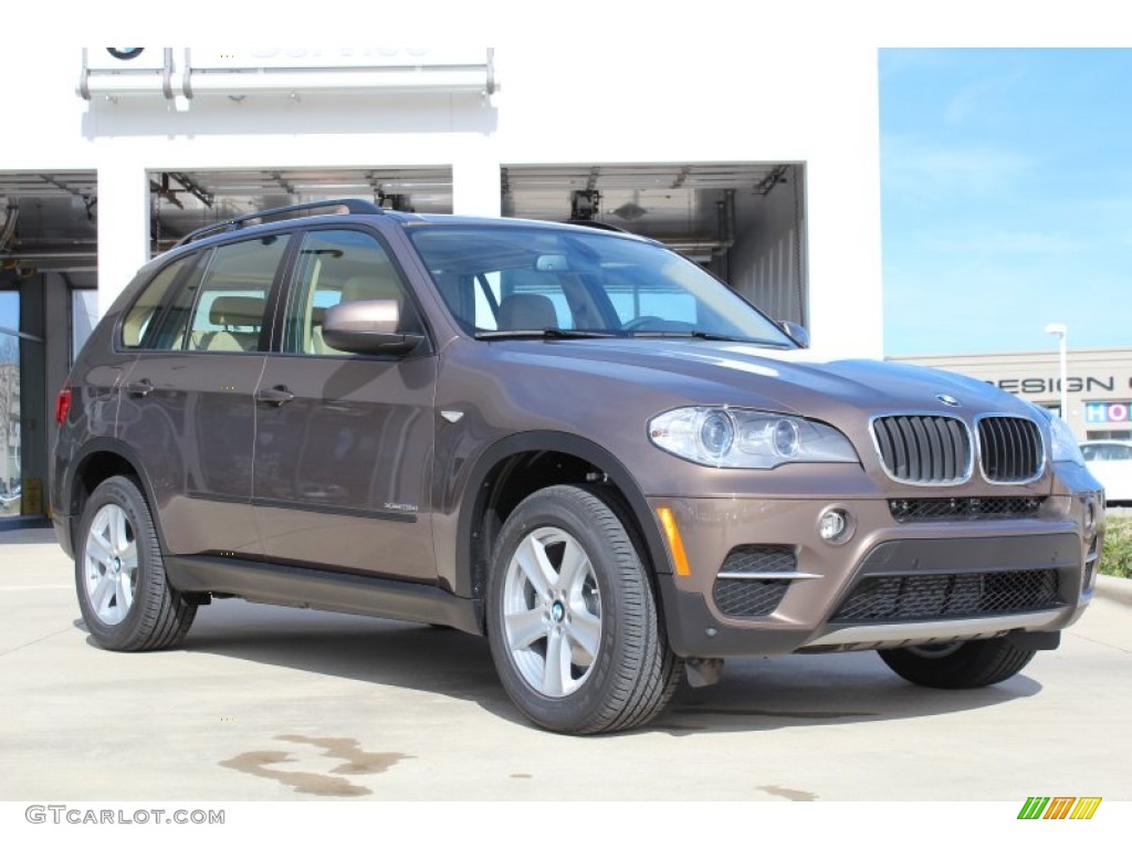 Sparkling Bronze Metallic 2013 BMW X5 xDrive 35i Exterior Photo #76161974