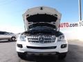 Alabaster White - ML 350 4Matic Photo No. 3
