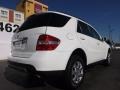 Alabaster White - ML 350 4Matic Photo No. 10