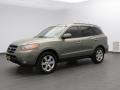 2008 Natural Khaki Green Hyundai Santa Fe Limited  photo #1