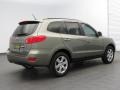 2008 Natural Khaki Green Hyundai Santa Fe Limited  photo #5