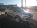 2013 Frosted Glass Metallic Ford Escape SE 1.6L EcoBoost  photo #9