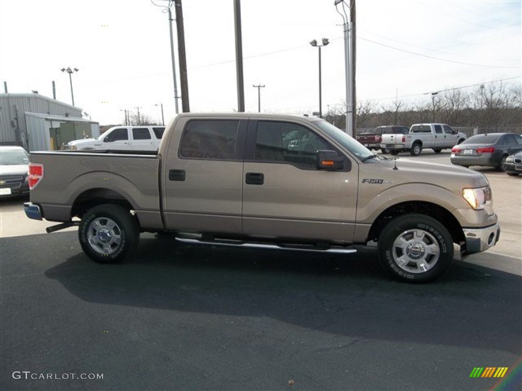 2013 F150 XLT SuperCrew - Pale Adobe Metallic / Adobe photo #13