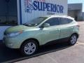 2013 Kiwi Green Hyundai Tucson GLS  photo #5