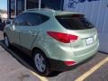 2013 Kiwi Green Hyundai Tucson GLS  photo #6