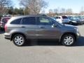 2009 Urban Titanium Metallic Honda CR-V EX-L  photo #6