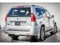 Silver Pine Metallic - GX 470 Photo No. 14