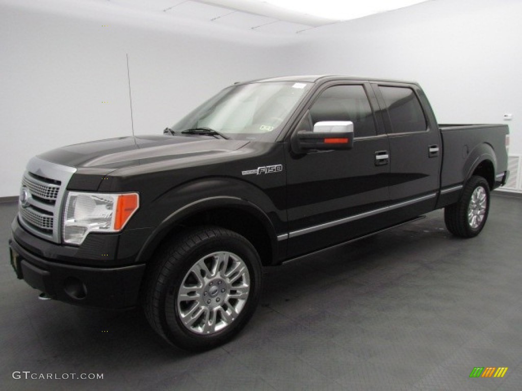 Tuxedo Black 2010 Ford F150 Platinum SuperCrew 4x4 Exterior Photo #76176995