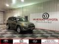 Pyrite Metallic 2010 Toyota RAV4 Limited