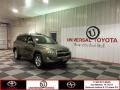 2010 Pyrite Metallic Toyota RAV4 Limited  photo #1