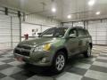 Pyrite Metallic - RAV4 Limited Photo No. 3