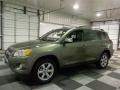 Pyrite Metallic - RAV4 Limited Photo No. 4