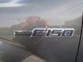 2013 Sterling Gray Metallic Ford F150 Lariat SuperCrew  photo #11