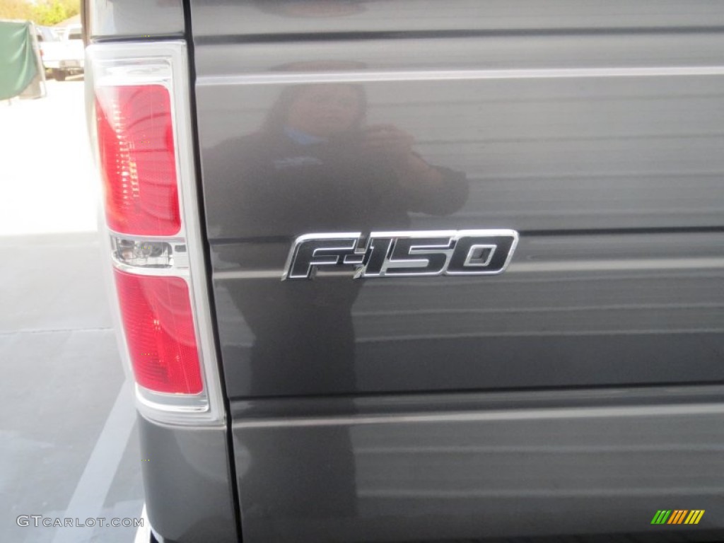 2013 F150 Lariat SuperCrew - Sterling Gray Metallic / Black photo #16