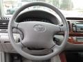 Phantom Gray Pearl - Camry XLE Photo No. 13