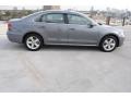 Platinum Gray Metallic - Passat TDI SE Photo No. 6