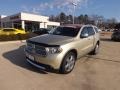 White Gold 2011 Dodge Durango Citadel