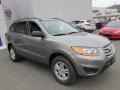 Mineral Gray - Santa Fe GLS AWD Photo No. 5
