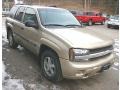 Sandstone Metallic - TrailBlazer LS 4x4 Photo No. 10