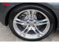 Daytona Grey Pearl Effect - R8 4.2 FSI quattro Photo No. 10