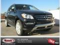 Black - ML 350 4Matic Photo No. 1