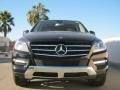 Black - ML 350 4Matic Photo No. 2