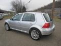 Reflex Silver Metallic - Golf GLS Sedan Photo No. 3
