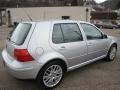 Reflex Silver Metallic - Golf GLS Sedan Photo No. 7