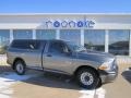 2010 Mineral Gray Metallic Dodge Ram 1500 ST Regular Cab  photo #1