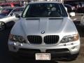 Titanium Silver Metallic - X5 3.0i Photo No. 2