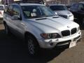 Titanium Silver Metallic - X5 3.0i Photo No. 3