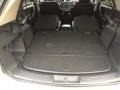 Dark Slate Gray Trunk Photo for 2006 Chrysler Pacifica #76216389