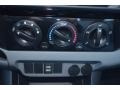 Silver Streak Mica - Tacoma Double Cab Photo No. 28